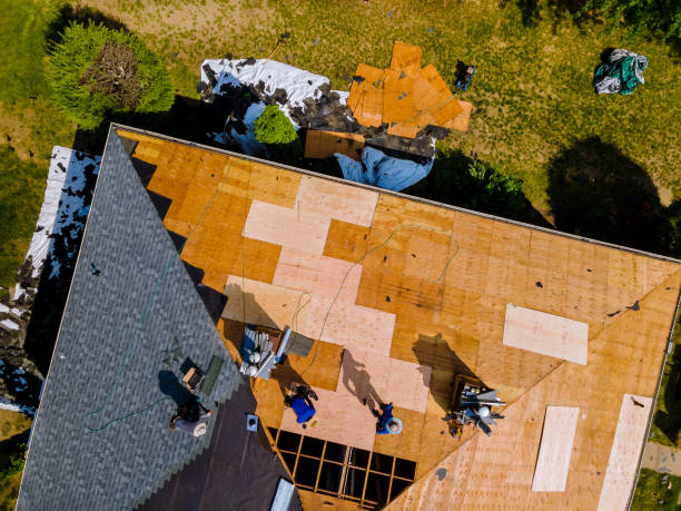 Quick and Trustworthy Emergency Roof Repair Services in Pasadena Hills, FL