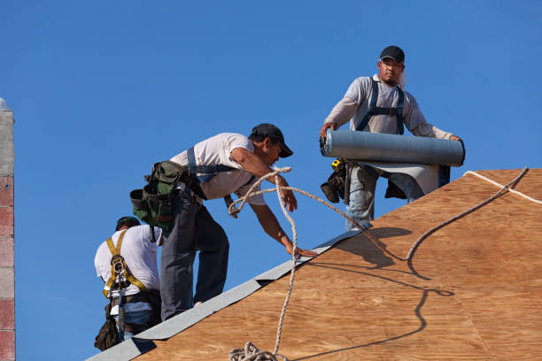 Best Best Roofing Contractors  in Pasadena Hills, FL