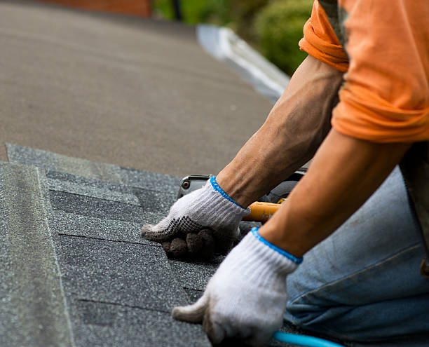 Best Commercial Roofing Services  in Pasadena Hills, FL